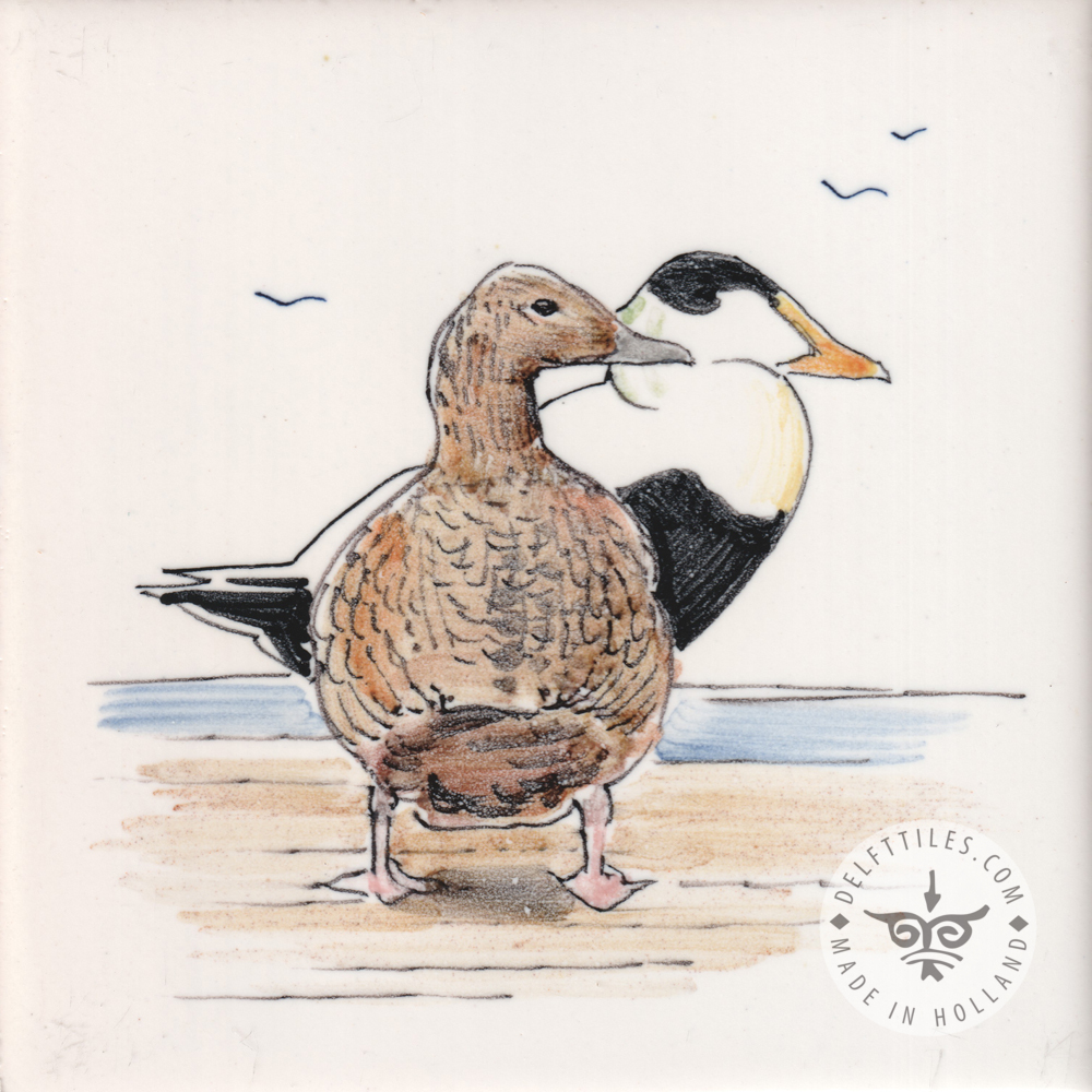 Meeresvögel Fliesen (HVS_mc) – Bild 13