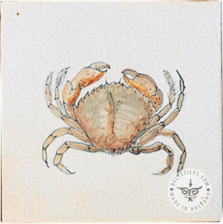 Strand- und Meerestierfliesen (HDZ) – Bild 8