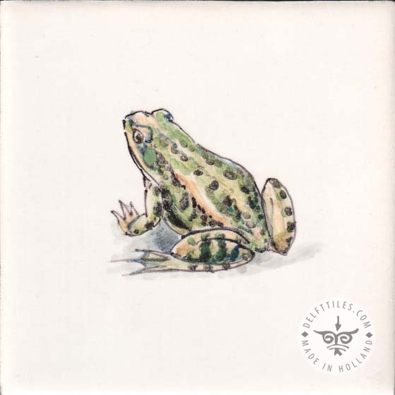 Frogs Amphibian Tile (HKI_mc) - Image 2
