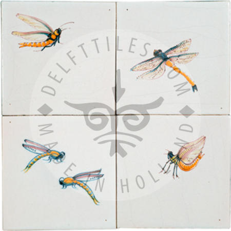 Libelleninsekt auf Fliese (HDD_mc)