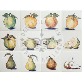 Various Fruits on Tile (HF_mc)