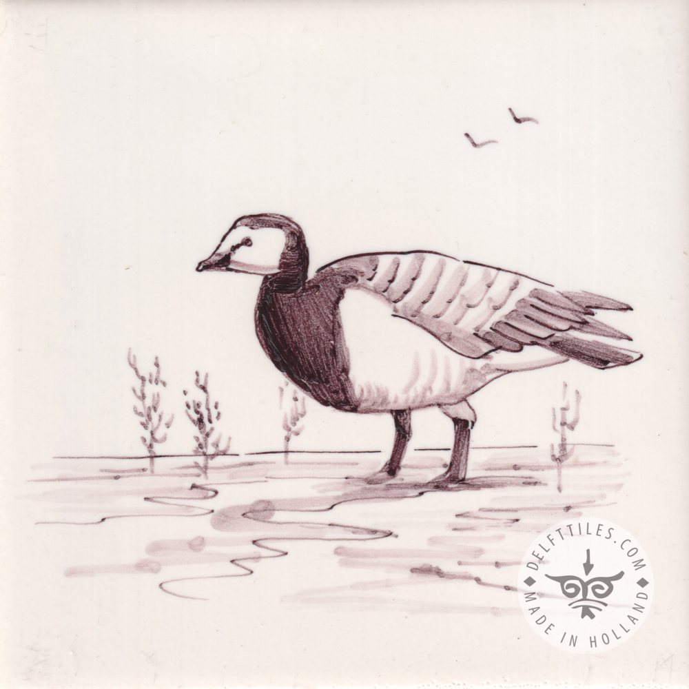 Meeresvögel Fliesen (HVS_mc) – Bild 14