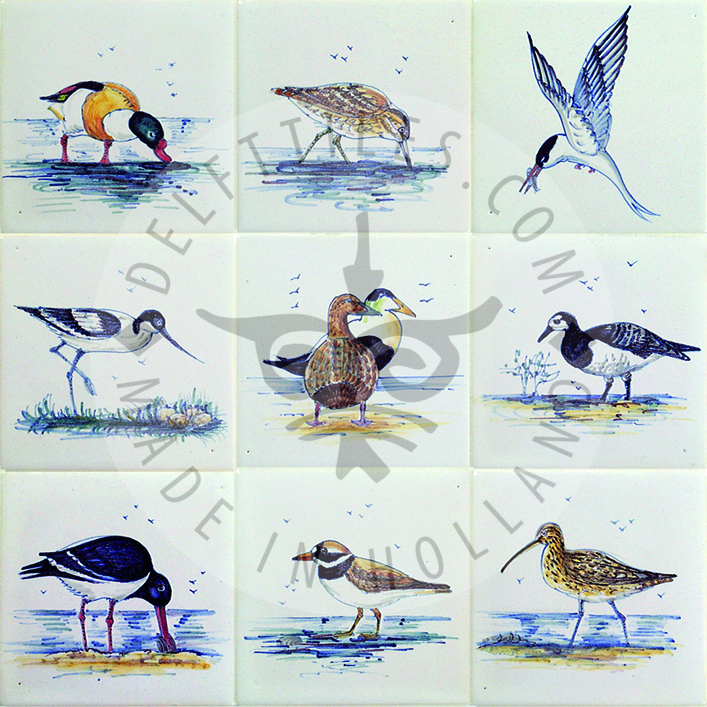 Meeresvögel Fliesen (HVS_mc)