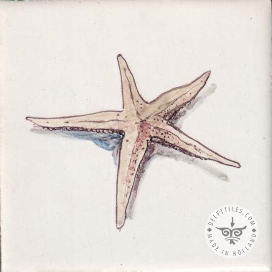 Strand- und Meerestierfliesen (HDZ) – Bild 2