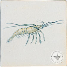 Strand- und Meerestierfliesen (HDZ) – Bild 7