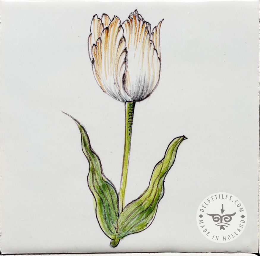 Dutch Tulips on Tile Classic Color (BT_mc) - Image 2