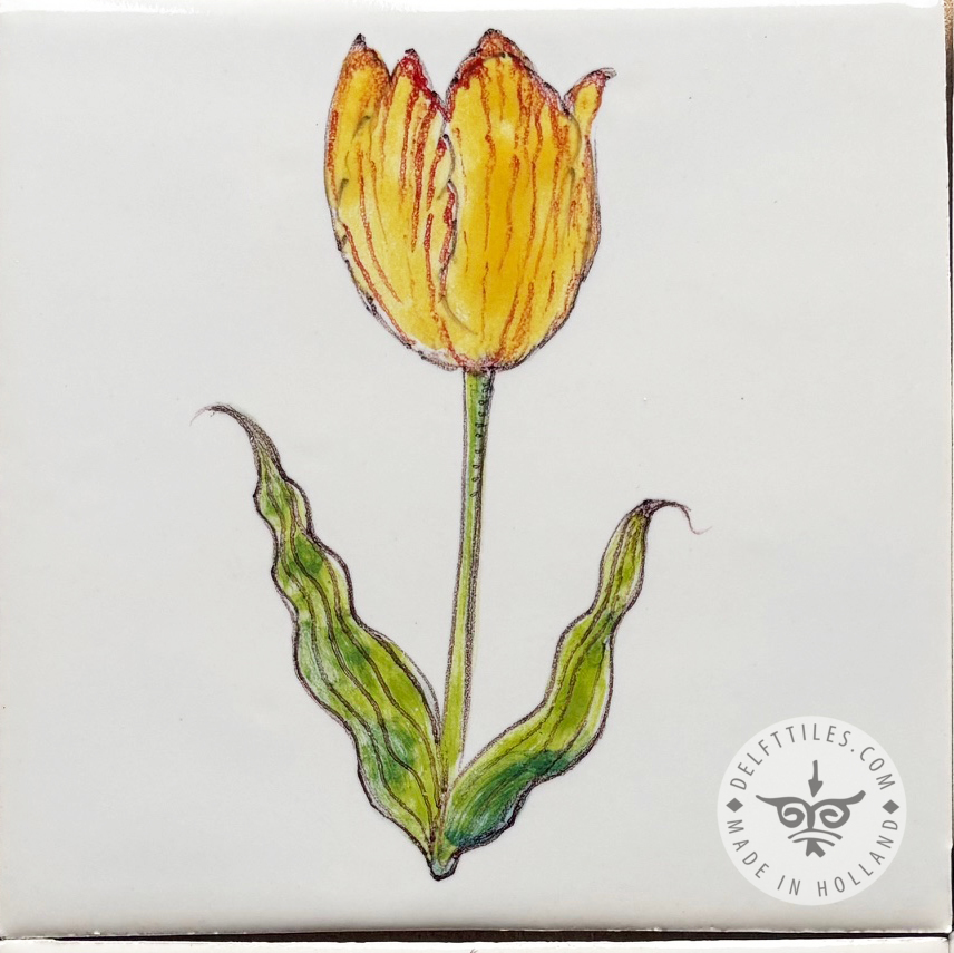 Dutch Tulips on Tile Color (BT_mc2) - Image 2
