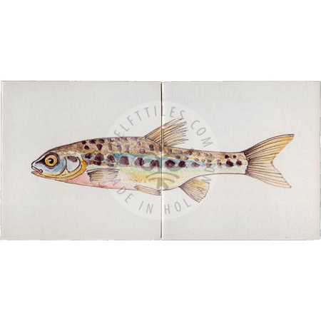 Minnow / Pike Fish Panels Multi Color 2 Tiles (HV2d_mc / HV2f_mc) - Image 2