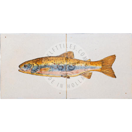 Salmon / Trout Fish Panels Multi Color 2 Tiles (HV2b_mc / HV2c_mc) - Image 3