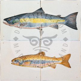 Salmon / Trout Fish Panels Multi Color 2 Tiles (HV2b_mc / HV2c_mc)