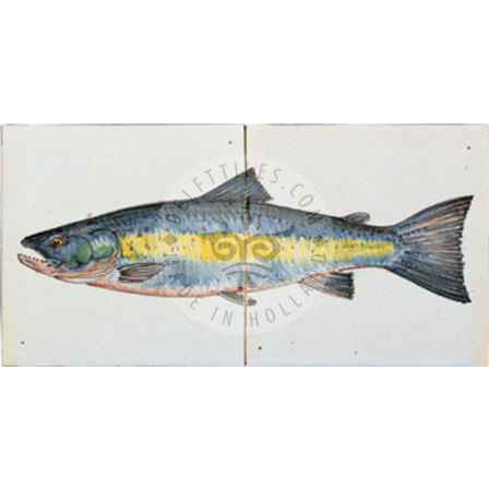 Salmon / Trout Fish Panels Multi Color 2 Tiles (HV2b_mc / HV2c_mc) - Image 2