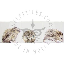 Young Hedgehogs on tile  (HDEG_mc)